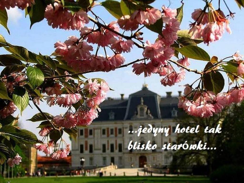 Hotel U Michalika 프스차이나 외부 사진